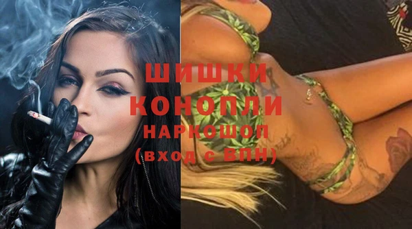 дживик Гусь-Хрустальный
