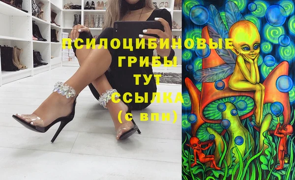 дживик Гусь-Хрустальный